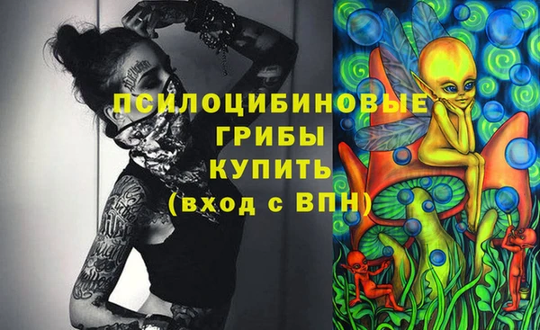 мяу мяу мука Арсеньев